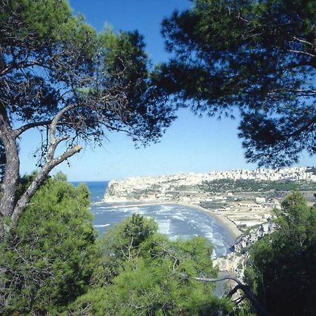 B&B Rose Villa Peschici Exteriör bild