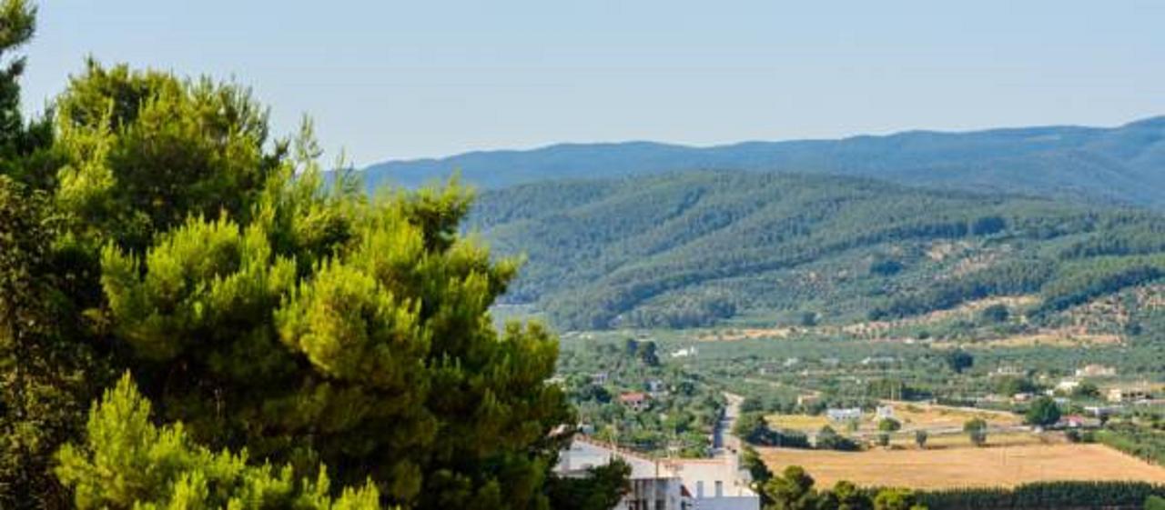 B&B Rose Villa Peschici Exteriör bild